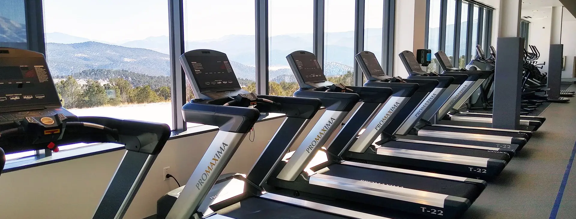 treadmill equipment in a gym