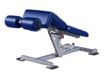 PLR 700 Adjustable Decline Bench by Promaxima Manufacturing